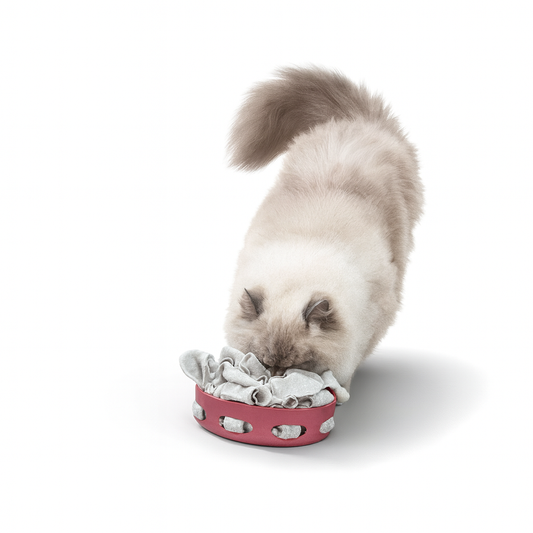 Trixie Cat Activity Hide’n’Sniff Bowl – Interaktiver Futternapf